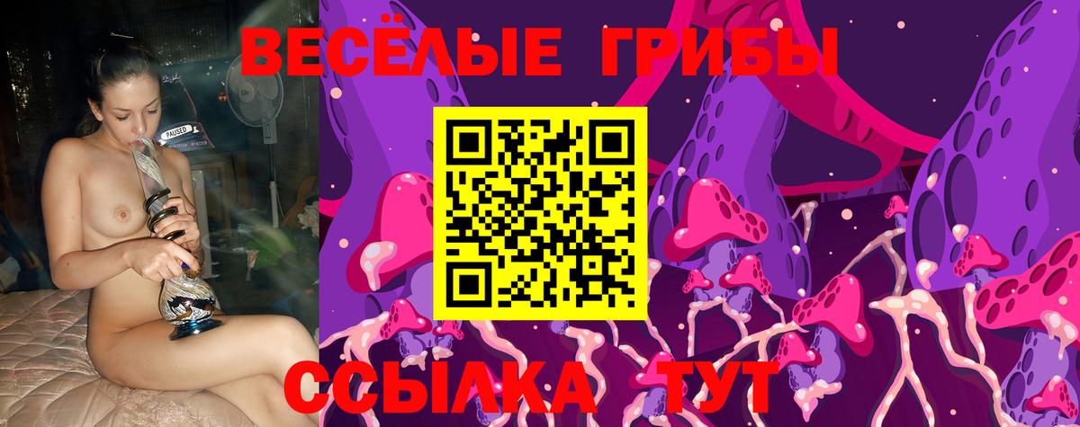 Галлюциногенные грибы прущие грибы  Вход с VPN  Кандалакша  Галлюциногенные грибы ЛСД 